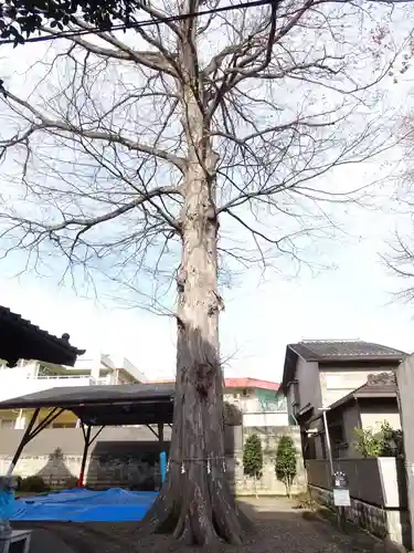 宮城野八幡神社(宮城県)