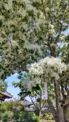當麻寺西南院(奈良県)