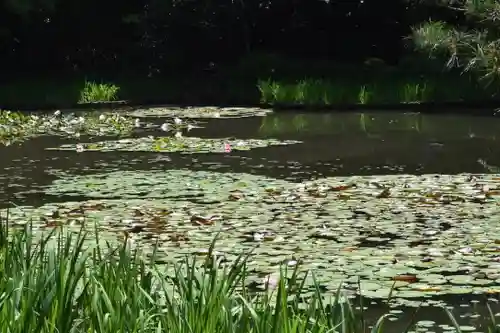 平安神宮の庭園