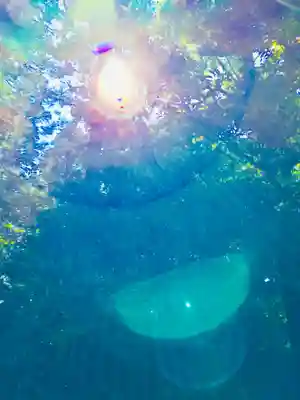 成田熊野神社(千葉県)