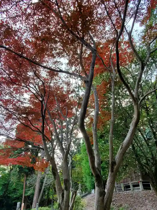 赤城神社 (勧農城跡)の自然