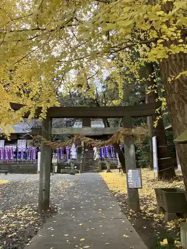 下野 星宮神社(栃木県)