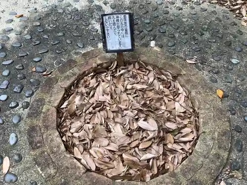 秋葉山尺坊・奥山半僧坊(愛知県)