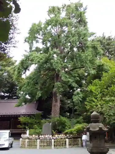 阿佐ヶ谷神明宮のその他建物