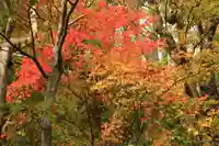 三輪神社の自然