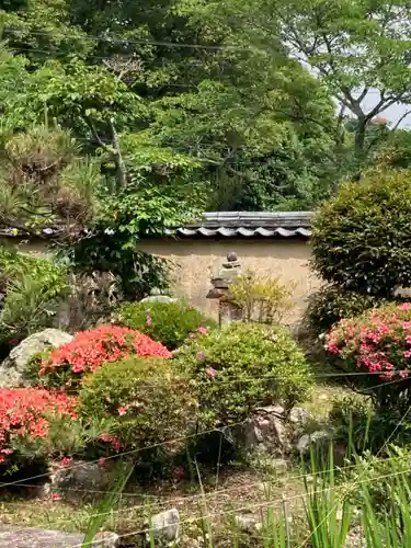 常福寺の庭園