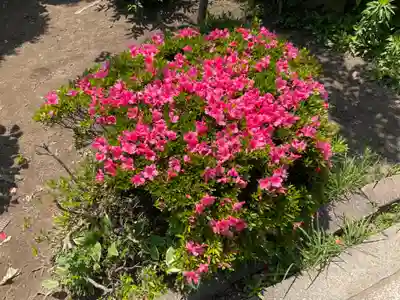 九應寺（九応寺）の自然