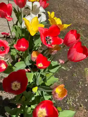 大宮温泉神社(栃木県)