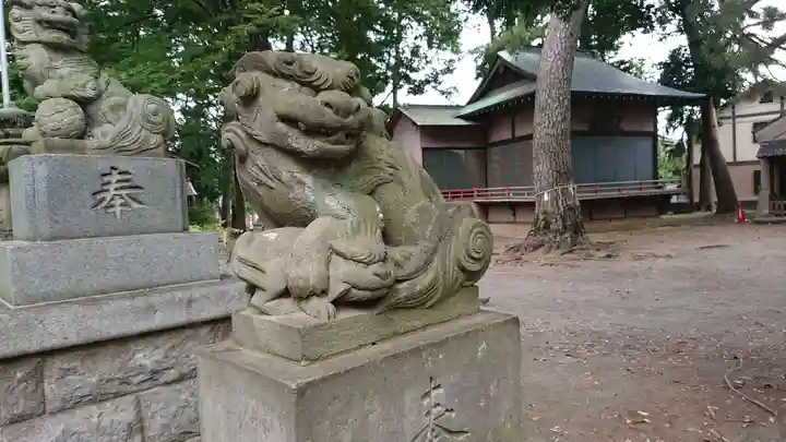 下高井戸八幡神社の狛犬