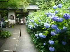 明月院の建物その他