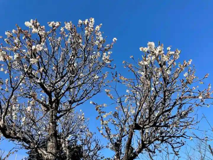 瑞泰寺の{uncategorized: "未分類", other: "その他", undefined: "問題あり", building: "その他建物", grave: "お墓", sacred_gate: "鳥居", guardian: "狛犬", statue: "像", buddha: "仏像", history: "歴史", nature: "自然", garden: "庭園", animal: "動物", pagoda: "塔", temizu: "手水舎", mountain_gate: "山門・神門", sanctuary: "本殿・本堂", subordinate: "末社・摂社", art: "芸術", scenery: "景色", jizo: "地蔵", ema: "絵馬", goshuin: "御朱印", omikuji: "おみくじ", items: "授与品その他", amulet: "お守り", goshuincho: "御朱印帳", eats: "食事", festival: "お祭り", votive_dance: "神楽", shichigosan: "七五三参", wedding: "結婚式", experience: "体験その他", initially: "初詣", around: "周辺", anti_infection: "感染症対策"}