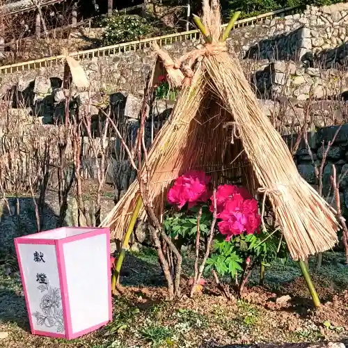 長谷寺の{uncategorized: "未分類", other: "その他", undefined: "問題あり", building: "その他建物", grave: "お墓", sacred_gate: "鳥居", guardian: "狛犬", statue: "像", buddha: "仏像", history: "歴史", nature: "自然", garden: "庭園", animal: "動物", pagoda: "塔", temizu: "手水舎", mountain_gate: "山門・神門", sanctuary: "本殿・本堂", subordinate: "末社・摂社", art: "芸術", scenery: "景色", jizo: "地蔵", ema: "絵馬", goshuin: "御朱印", omikuji: "おみくじ", items: "授与品その他", amulet: "お守り", goshuincho: "御朱印帳", eats: "食事", festival: "お祭り", votive_dance: "神楽", shichigosan: "七五三参", wedding: "結婚式", experience: "体験その他", initially: "初詣", around: "周辺", anti_infection: "感染症対策"}