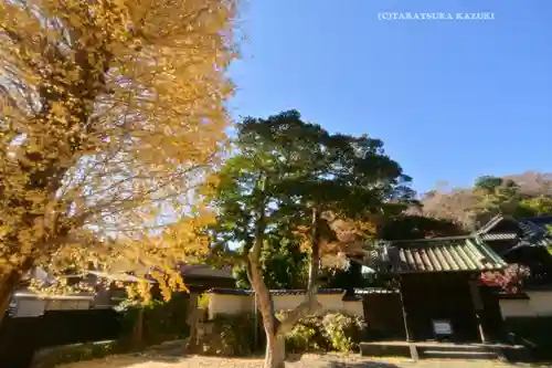 英勝寺(神奈川県)