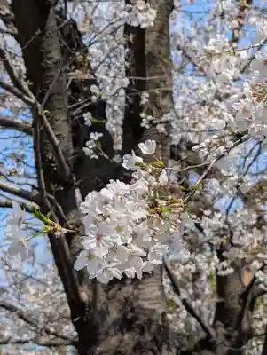 潮田神社(神奈川県)