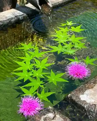 国宝 大法寺の手水舎