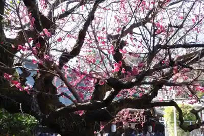 大國魂神社(東京都)
