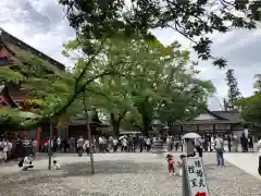 富士山本宮浅間大社の建物その他