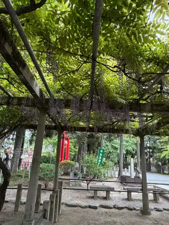 立木神社の{uncategorized: "未分類", other: "その他", undefined: "問題あり", building: "その他建物", grave: "お墓", sacred_gate: "鳥居", guardian: "狛犬", statue: "像", buddha: "仏像", history: "歴史", nature: "自然", garden: "庭園", animal: "動物", pagoda: "塔", temizu: "手水舎", mountain_gate: "山門・神門", sanctuary: "本殿・本堂", subordinate: "末社・摂社", art: "芸術", scenery: "景色", jizo: "地蔵", ema: "絵馬", goshuin: "御朱印", omikuji: "おみくじ", items: "授与品その他", amulet: "お守り", goshuincho: "御朱印帳", eats: "食事", festival: "お祭り", votive_dance: "神楽", shichigosan: "七五三参", wedding: "結婚式", experience: "体験その他", initially: "初詣", around: "周辺", anti_infection: "感染症対策"}