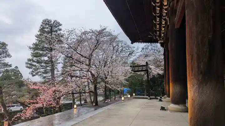 知恩院(京都府)