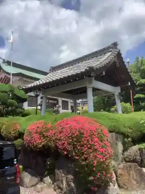縣神社(岐阜県)