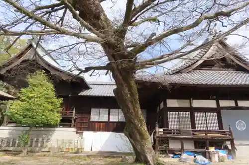 熊野神社の本殿・本堂