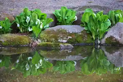 真照寺(福島県)