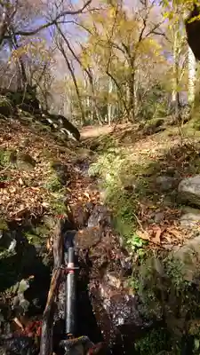 鬼嶽稲荷神社の自然