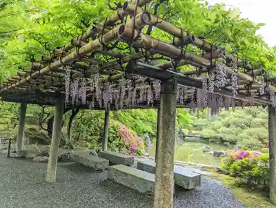 城南宮(京都府)