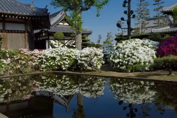 法雲寺のその他建物