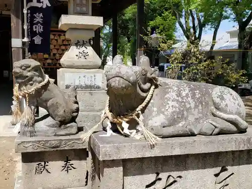 津田天満神社の狛犬