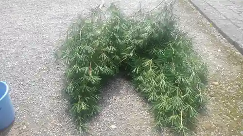 正暦寺(京都府)