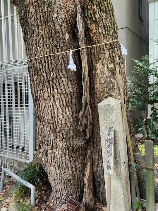 泥江縣神社(愛知県)