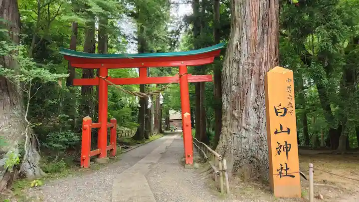 白山神社(岩手県)