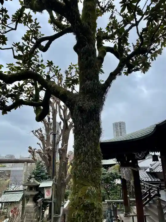 五條天神社(東京都)