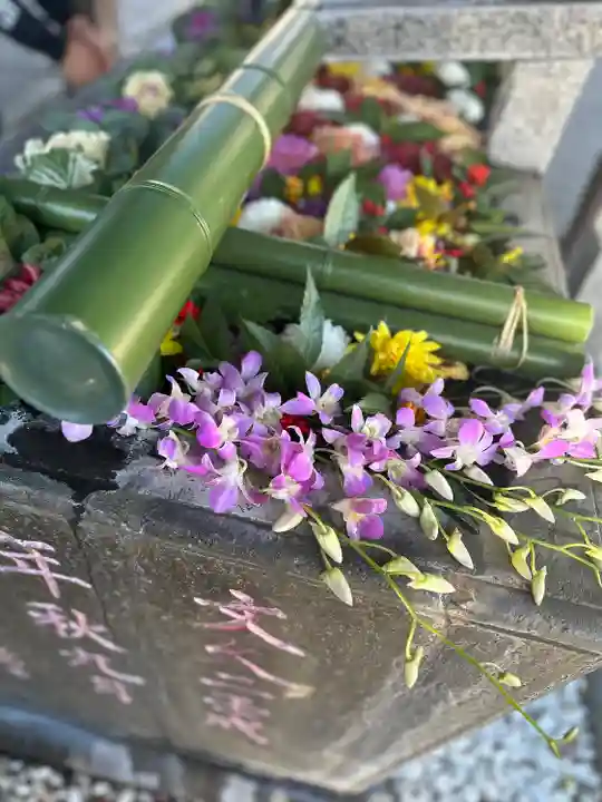 草加神社(埼玉県)