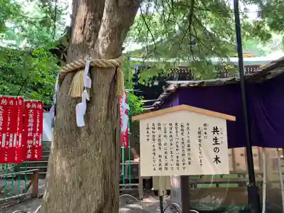大宮八幡宮(東京都)