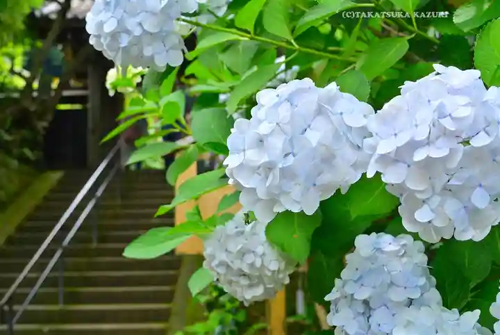 円覚寺(神奈川県)
