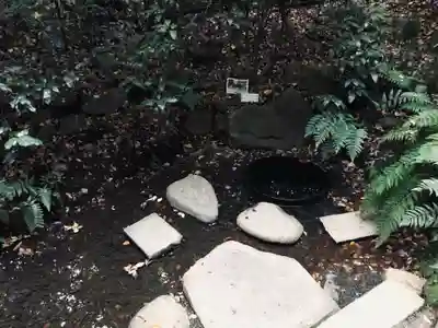 明治神宮(東京都)