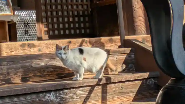 行願寺(革堂)(京都府)