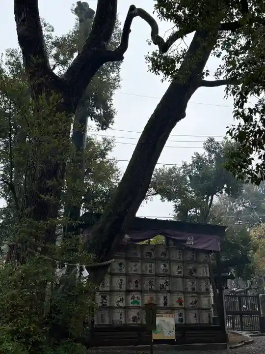 武蔵一宮氷川神社(埼玉県)