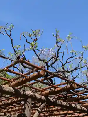 愛染院(東京都)