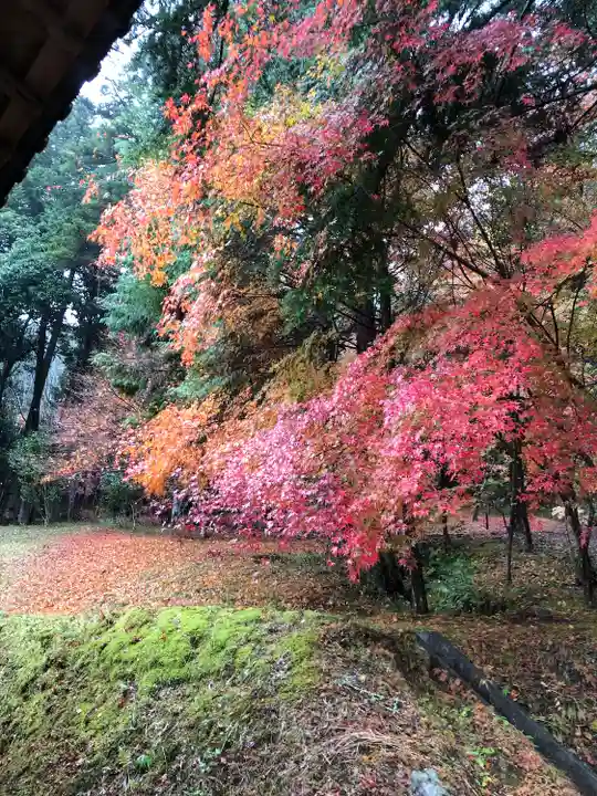 和氣神社(和気神社)の自然