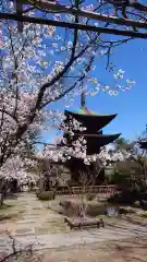 信濃國分寺の建物その他