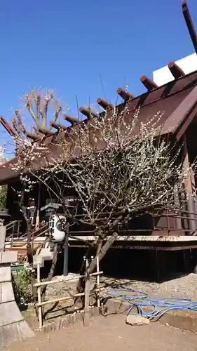 高円寺氷川神社のその他建物