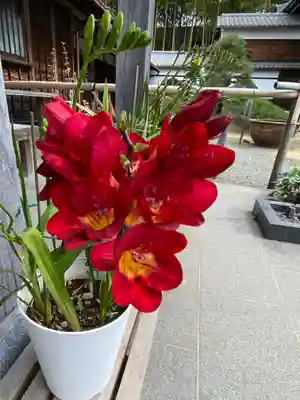 妙蓮寺(神奈川県)