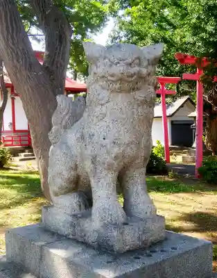 空知神社の狛犬
