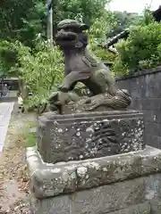 五所神社の狛犬