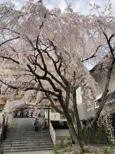 普門寺(広島県)