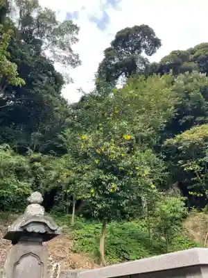 妙伝寺（妙傳寺）(神奈川県)