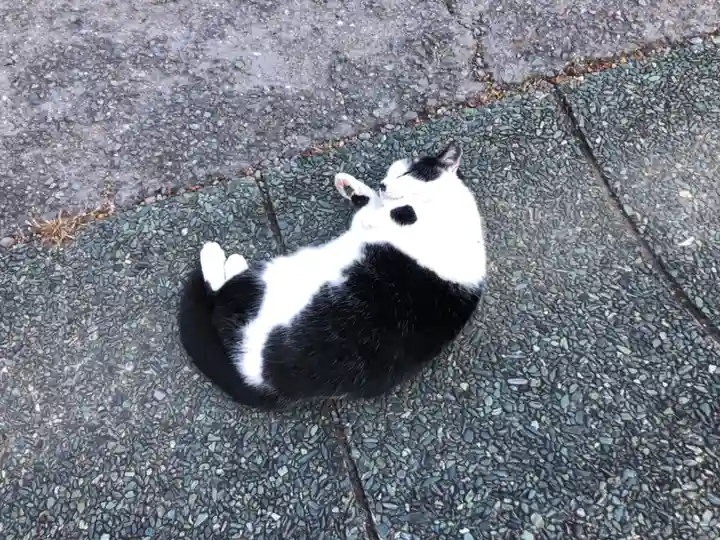 王子神社の動物
